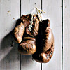 Abbildung von Boxhandschuhen